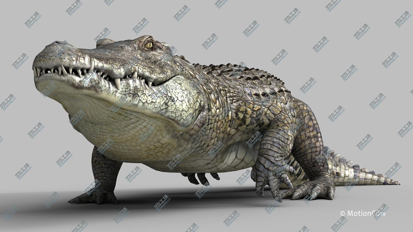 images/goods_img/20210313/3D model Crocodile Pro/3.jpg